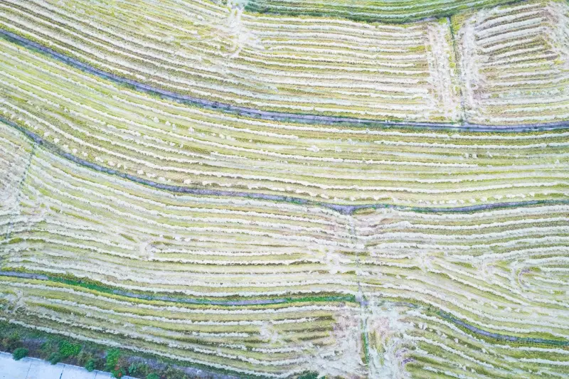 建筑工地安全帽与防护面罩搭配使用规范及选择要点