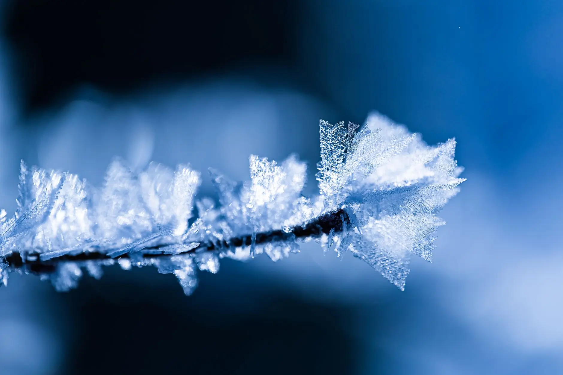 工厂车间劳保鞋与安全手套选型指南:从防护等级到材质对比